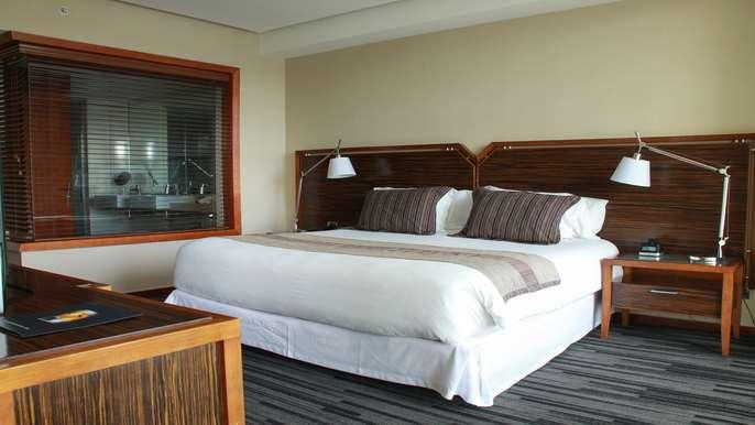 Hotel Dreams Valdivia Oda fotoğraf A bedroom at the hotel